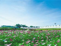 與河北省生態(tài)文明建設(shè)促進(jìn)會(huì)合作，提供單位官網(wǎng)網(wǎng)站改版工作